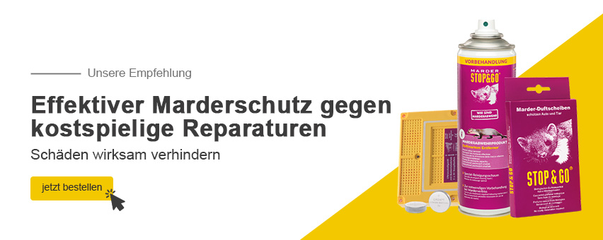 Unsere Empfehlung: Marderabwehr