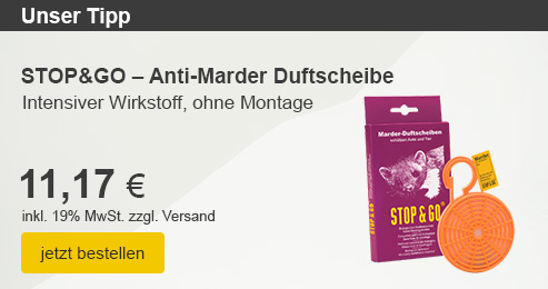 Unser Tipp: Anti-Marder Duftscheibe